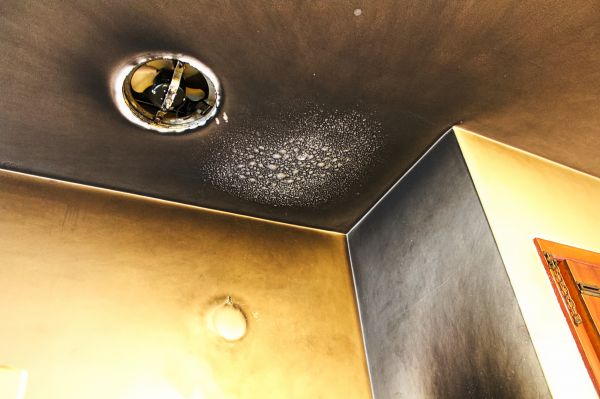 Cost of Smoke Damage Remediation in Fort Myers